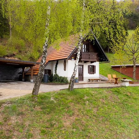 Ferienwohnung Kopise Zoll Exterior foto